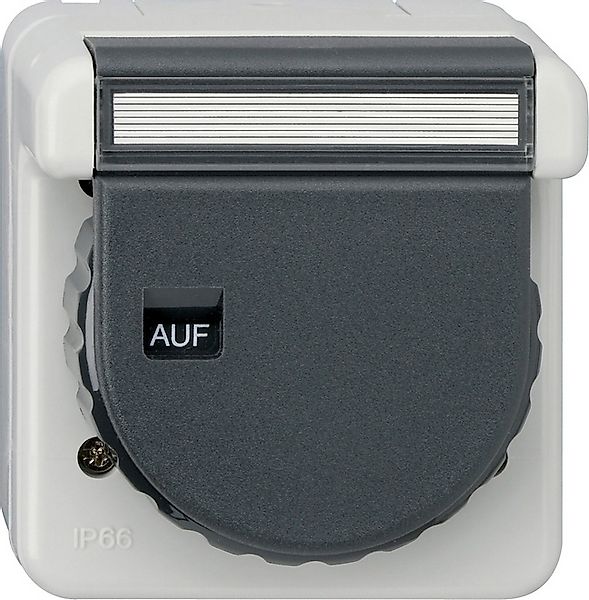 Gira Steckdose KD+BSF Bajonett AP Grau 444031 günstig online kaufen