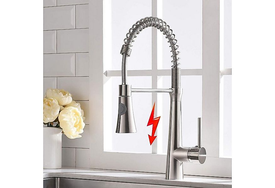 LuxusKollektion Küchenarmatur Niederdruck Küchenarmatur mit Dual-Spülbrause günstig online kaufen