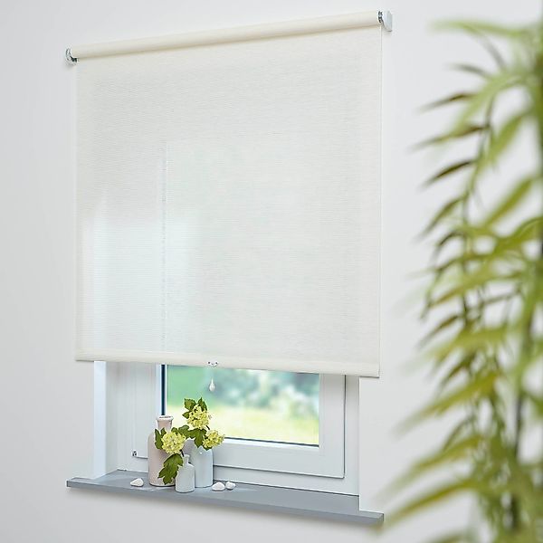 Springrollo Springrollo mit Dekor, lichtdurchlässig, Struktur günstig online kaufen