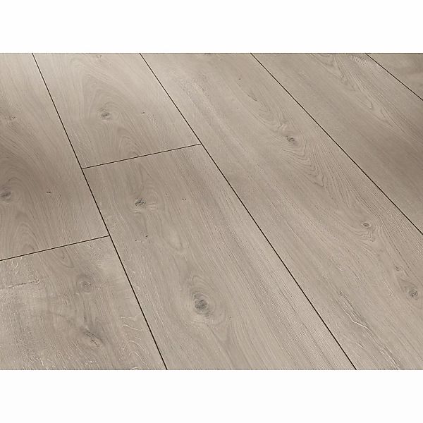 Parador Trendtime 6 Laminat 9 mm Wasserfest Eiche Mistral Grau günstig online kaufen