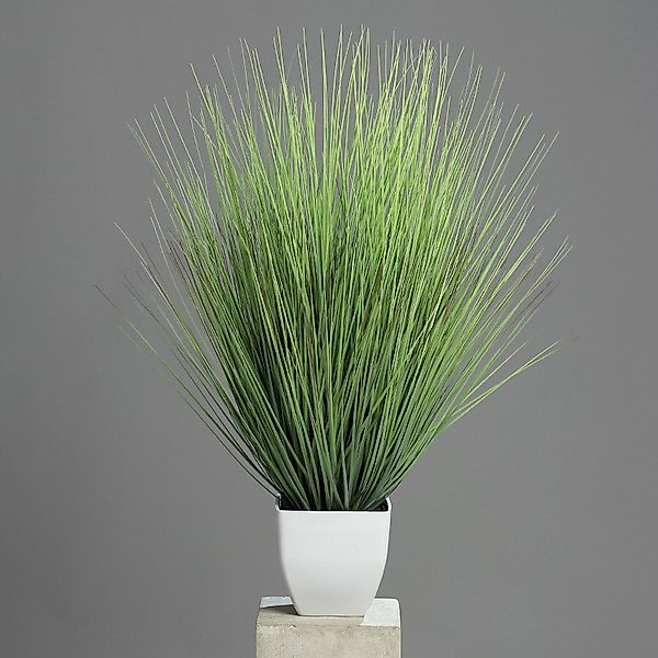 Kunstgras Gräser, DPI, Höhe 80 cm, günstig online kaufen
