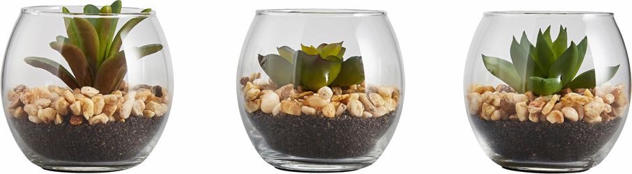 Kunstpflanze Sukkulenten, Creativ green, Höhe 7 günstig online kaufen