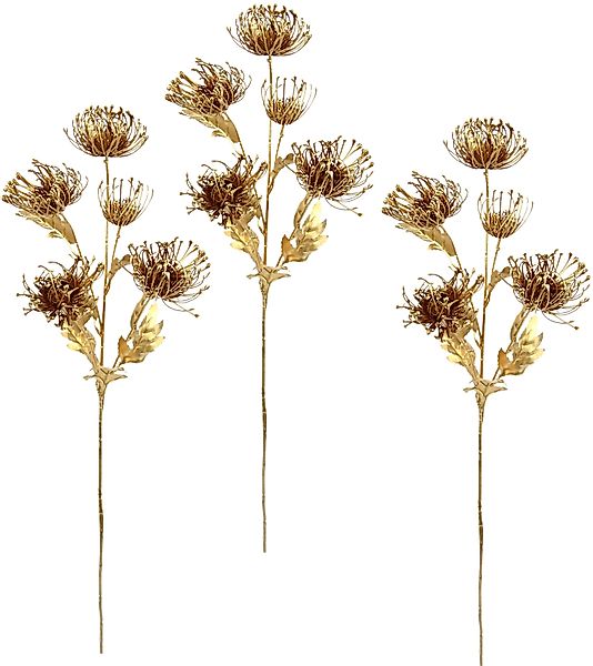 Kunstblume Protea, I.GE.A., Höhe 75 cm, günstig online kaufen