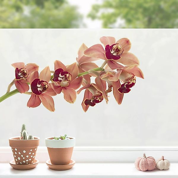 Fensterfolie No.180 Orchidee Rot II günstig online kaufen