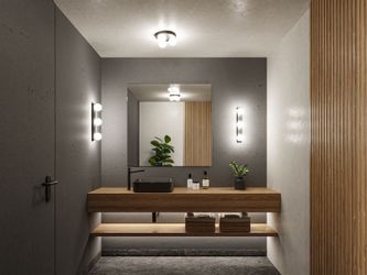 Paulmann Deckenleuchte Selection Bathroom Gove IP44 günstig online kaufen
