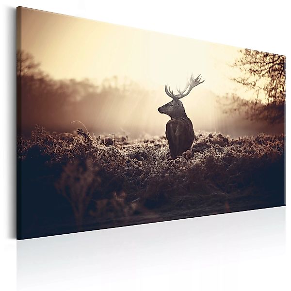 Wandbild - Lurking Deer günstig online kaufen