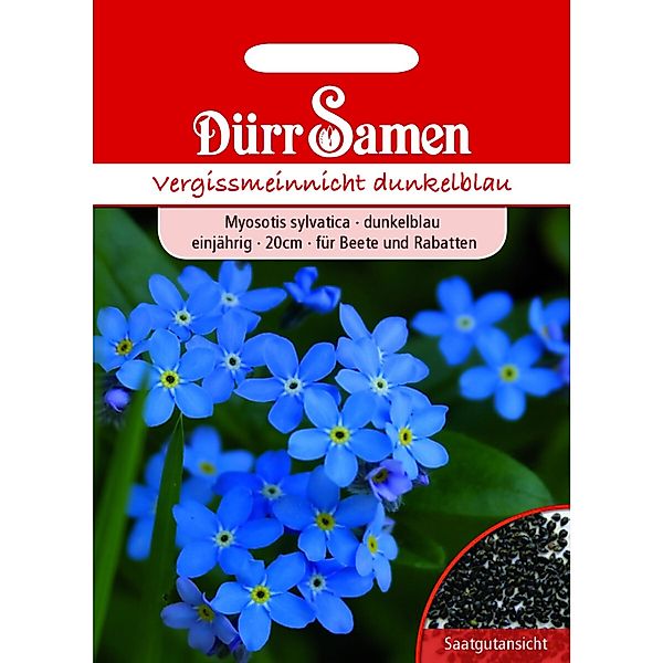 Dürr Samen Vergissmeinnicht Blau Einjährig Saatgut günstig online kaufen