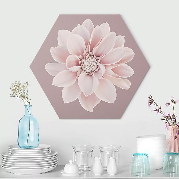 Hexagon-Alu-Dibond Bild Dahlie Blume Lavendel Weiß Rosa günstig online kaufen