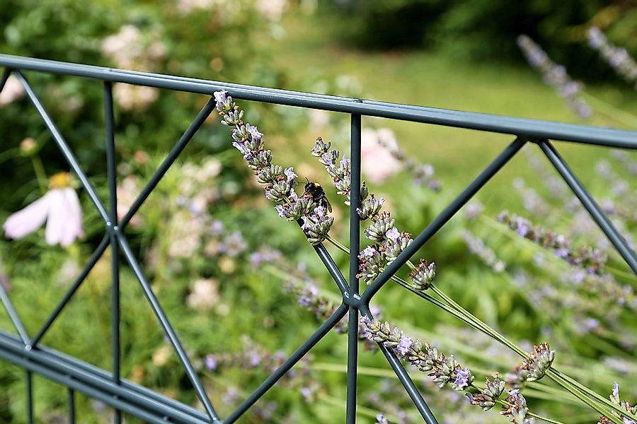 Alberts Doppelstabmattenzaun "Bergen" anthrazit, Höhe: 100-160cm, Gesamtlän günstig online kaufen