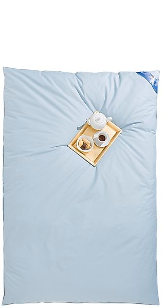 RIBECO Federbettdecke "Leon, Ballonbettdecke 135x200 & 155x220 cm" extrawar günstig online kaufen