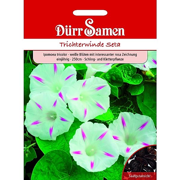 Dürr Samen Trichterwinde Seta Weiß Mit Rosa Zeichnung Saatgut günstig online kaufen