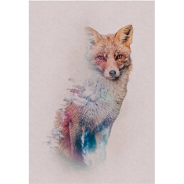 Komar Bild "Animals Forest Fox" Tiere 1 Stk. tlg. Wandbild zur Dekoration - günstig online kaufen
