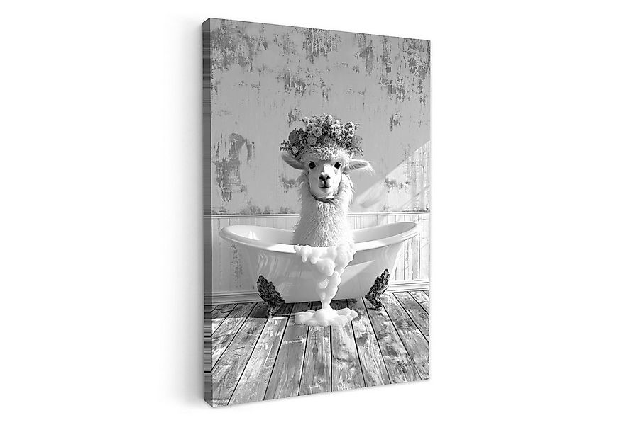 OneMillionCanvasses® Leinwandbild Alpaka - Blumen - Tier - Badewanne - Schw günstig online kaufen