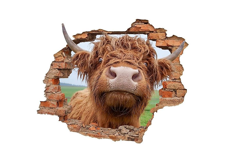 WallSpirit Wandtattoo Wanddurchbruch "Hochlandrind", Selbstklebend, rücksta günstig online kaufen