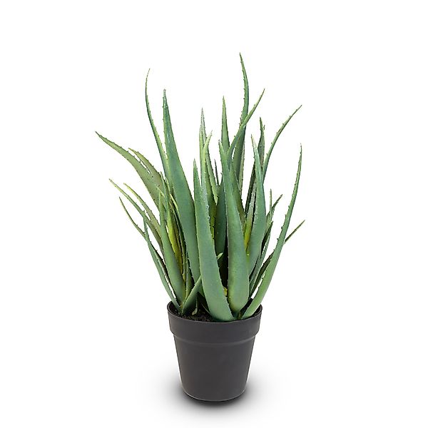 Aloe Vera Kunstpflanze, Höhe 50 cm günstig online kaufen