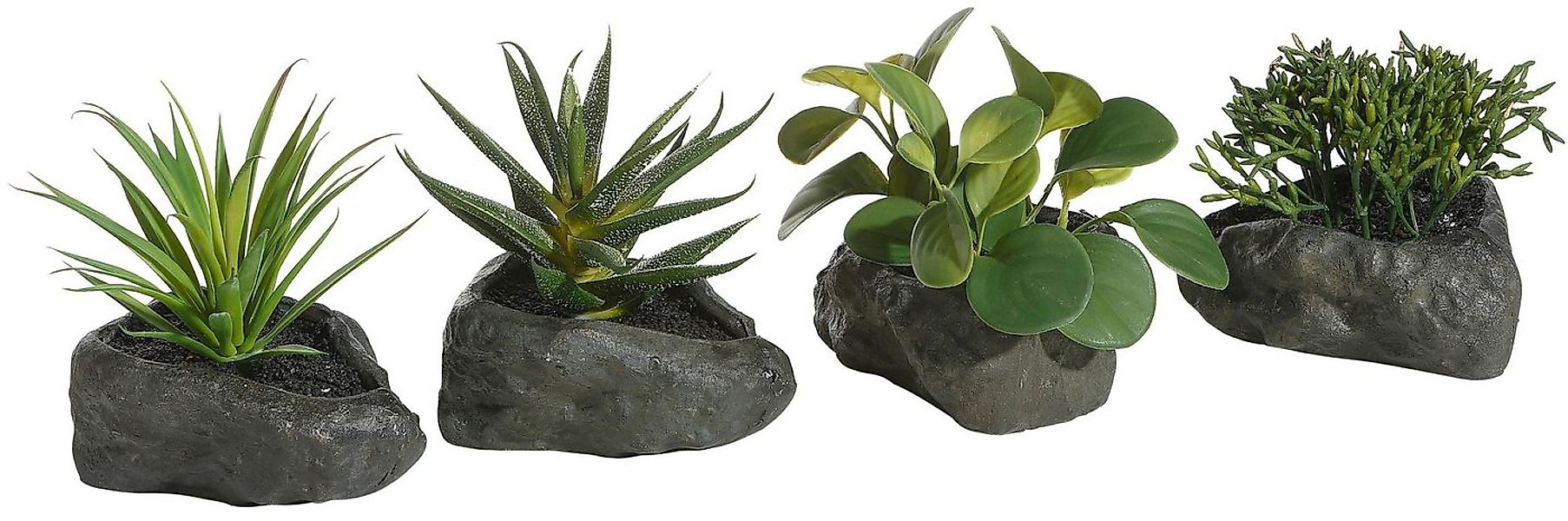 Kunstpflanze Sukkulenten, Home affaire, Höhe 12 cm, 4er Set günstig online kaufen