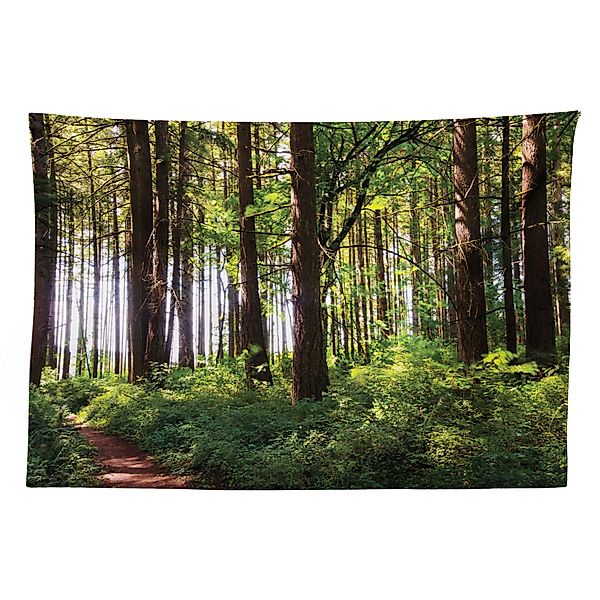 Abakuhaus Wandteppich aus Weiches Mikrofaser Stoff günstig online kaufen