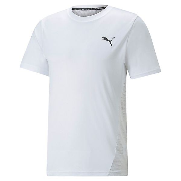 PUMA T-Shirt Puma Herren T-Shirt TRAIN günstig online kaufen