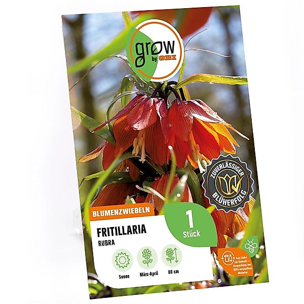GROW by OBI Kaiserkrone imperalis Rubra Rot 1 Stück günstig online kaufen