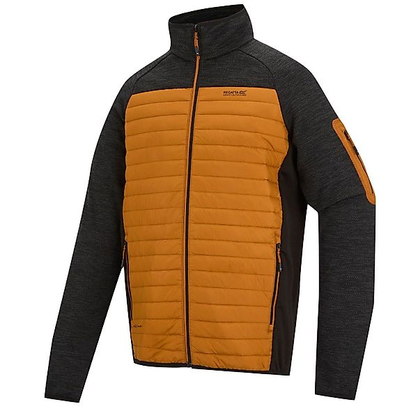 Regatta Steppjacke Steppjacke Ceden Hybrid günstig online kaufen