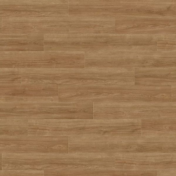 Living by Haro Laminat 8 mm Eiche Eleganza Natur günstig online kaufen