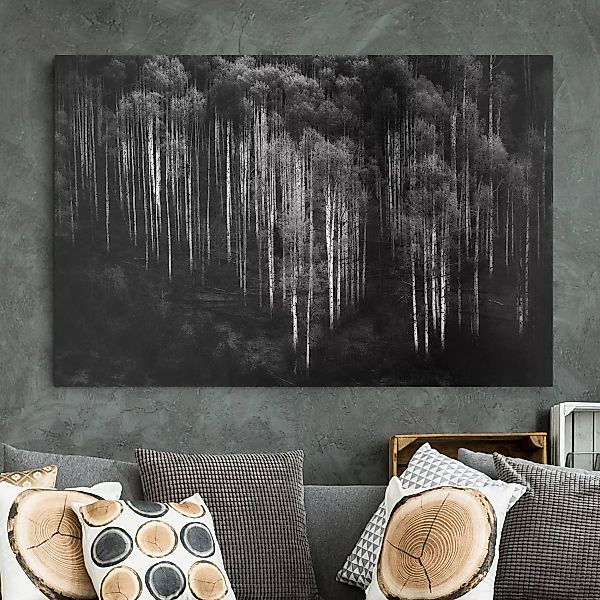 Leinwandbild Schwarz-Weiß - Querformat Birkenwald in Aspen günstig online kaufen