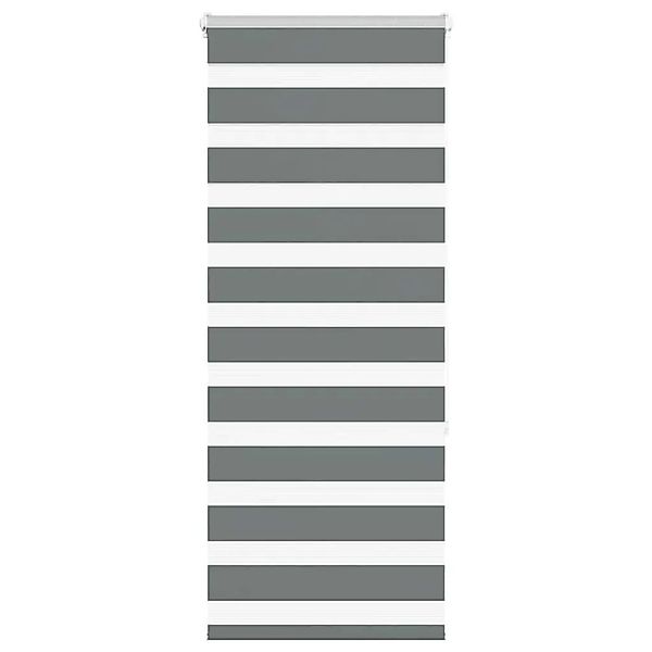 vidaXL Doppelrollo Dunkelgrau 60x150 cm Stoffbreite 55,9 cm Polyester 40141 günstig online kaufen