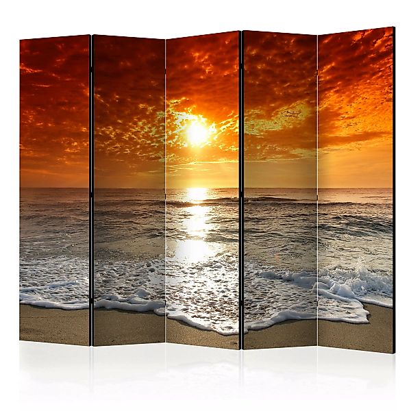 5-teiliges Paravent - Marvelous Sunset Ii [room Dividers] günstig online kaufen