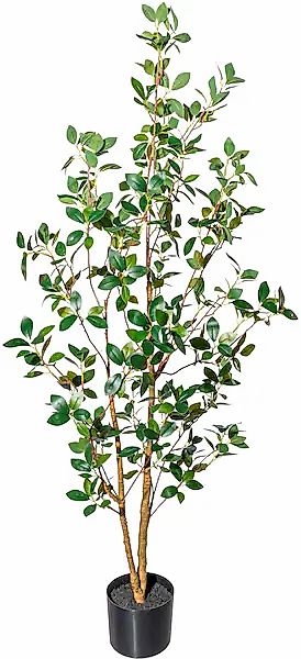 Creativ green Kunstbaum »Ficus ginseng« günstig online kaufen