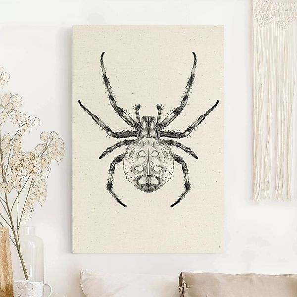 Leinwandbild auf Naturcanvas Illustration ruhende Spinne Schwarz günstig online kaufen