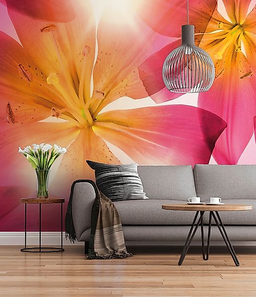 Komar Fototapete »Summer Sun - Größe 368 x 254 cm«, bedruckt, Wohnzimmer, S günstig online kaufen