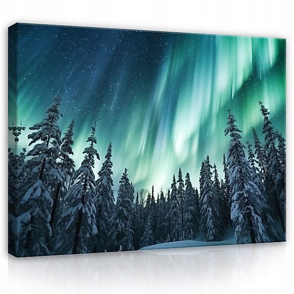 Wallarena Leinwandbild Wald Sonne Natur Grün günstig online kaufen