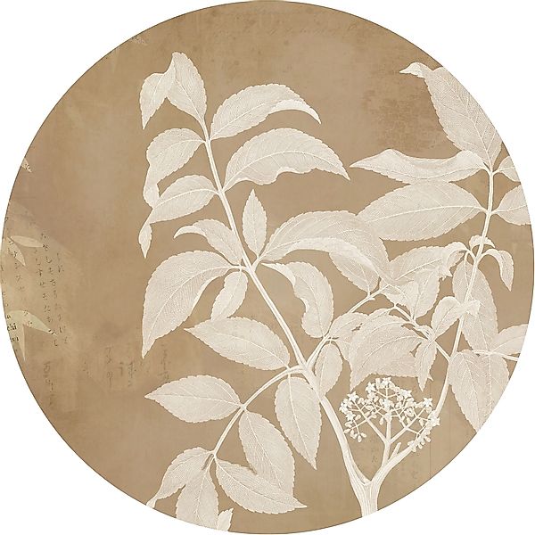 Komar Fototapete »Vlies selbstklebend - Blooming Branch - Größe 125 x 125 c günstig online kaufen