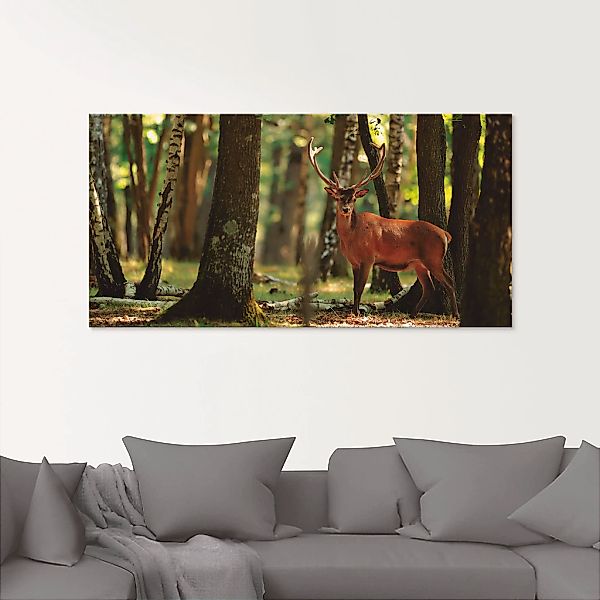 Artland Glasbild "Hirsch 4 - Wald" Wildtiere 1 Stk. tlg. in verschiedenen G günstig online kaufen