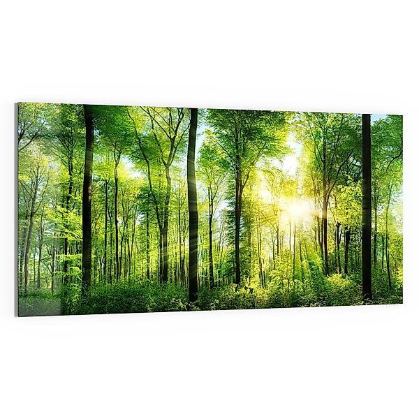 DEQORI Glasbild 'Sonne durchbricht Wald', 'Sonne günstig online kaufen