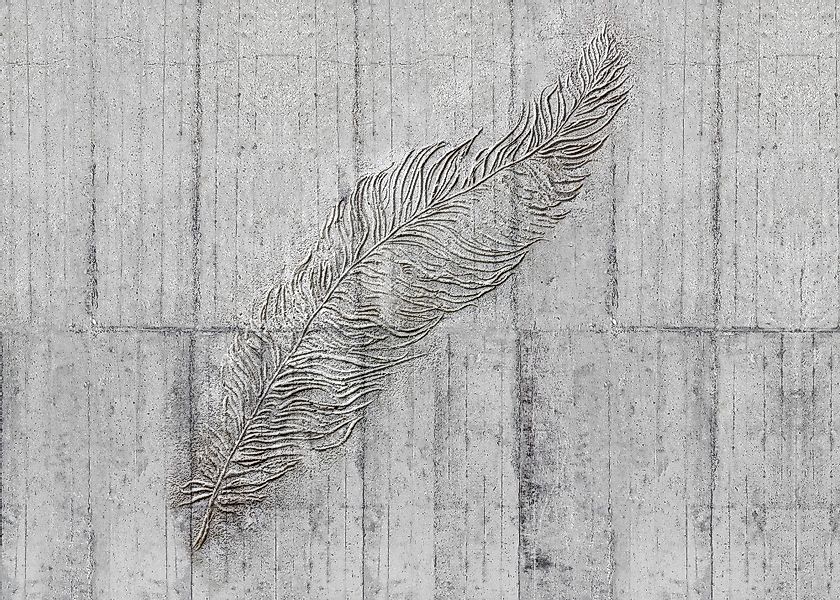 Komar Vliestapete »Digitaldruck Vlies - Concrete Feather - Größe 350 x 250 günstig online kaufen