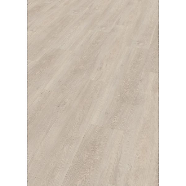 Check Klebe-Vinylboden Expert Bonifacius Eiche günstig online kaufen