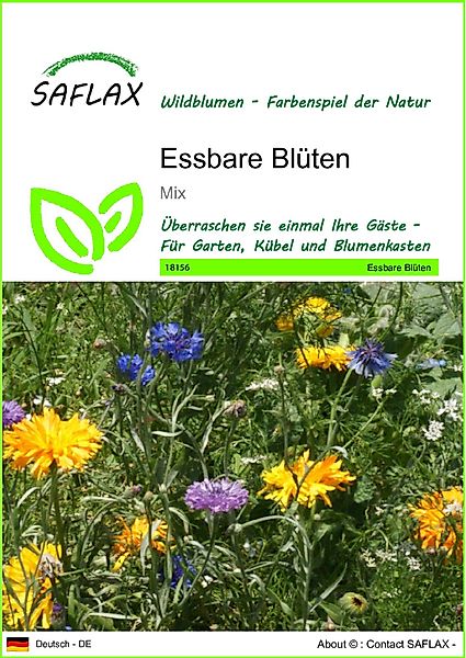 SAFLAX Blumensamen SAFLAX - Samen - günstig online kaufen