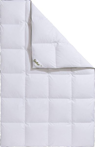 fjödur Gänsedaunenbettdecke "Franzisk, Bettdecken für Sommer oder Winter, D günstig online kaufen