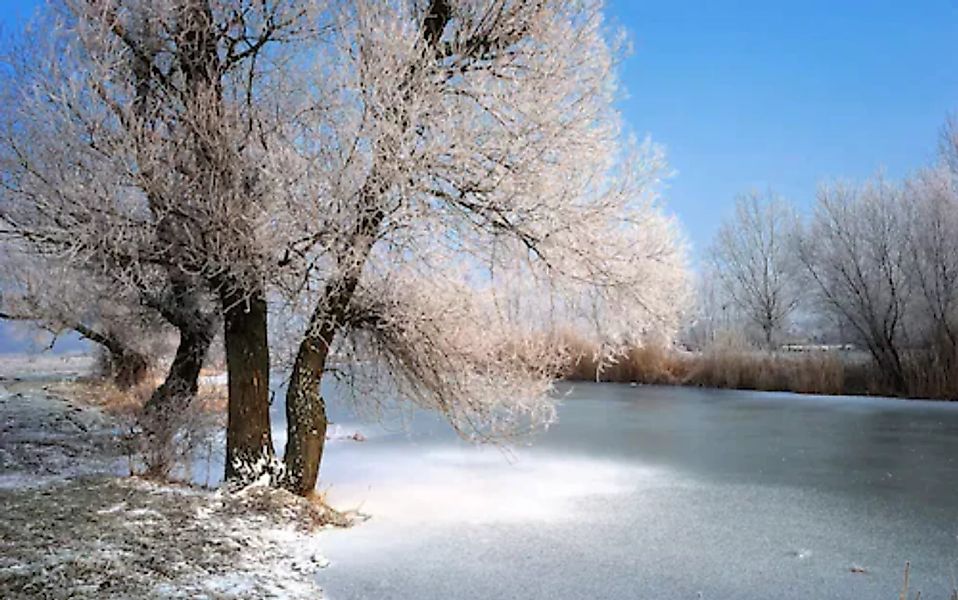 Papermoon Fototapete »Winter Fluss« günstig online kaufen