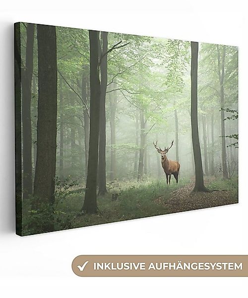 OneMillionCanvasses® Leinwandbild Hirsche - Wald - Bäume, Fotodruck (1 St), günstig online kaufen