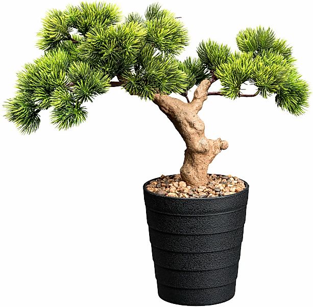 Creativ green Kunstbonsai "Bonsai Kiefer", mit Deko-Kies günstig online kaufen