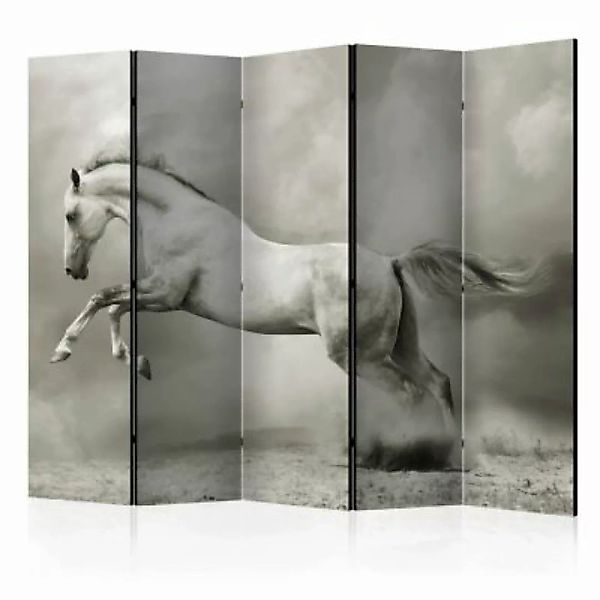 artgeist Paravent Wild Stallion II [Room Dividers] schwarz/weiß Gr. 225 x 1 günstig online kaufen