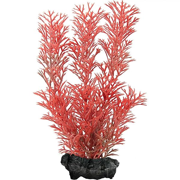 Tetra Kunstpflanze DecoArt Plant S Foxtail Red günstig online kaufen