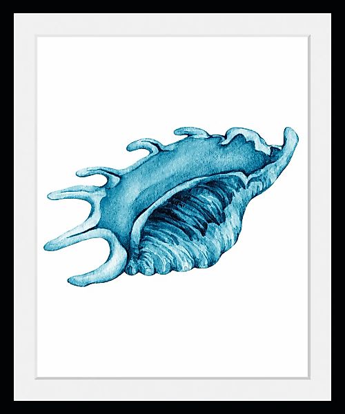 queence Bild »Ralf«, Meer-Wassertiere-Kunst, (1 St.), HD Premium Poster-Dru günstig online kaufen