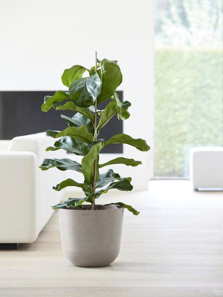 ECOPOTS Blumentopf Oslo 35 Taupe, für günstig online kaufen