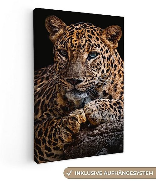 OneMillionCanvasses® Leinwandbild Wildtiere - Panther - Porträt - Schwarz - günstig online kaufen