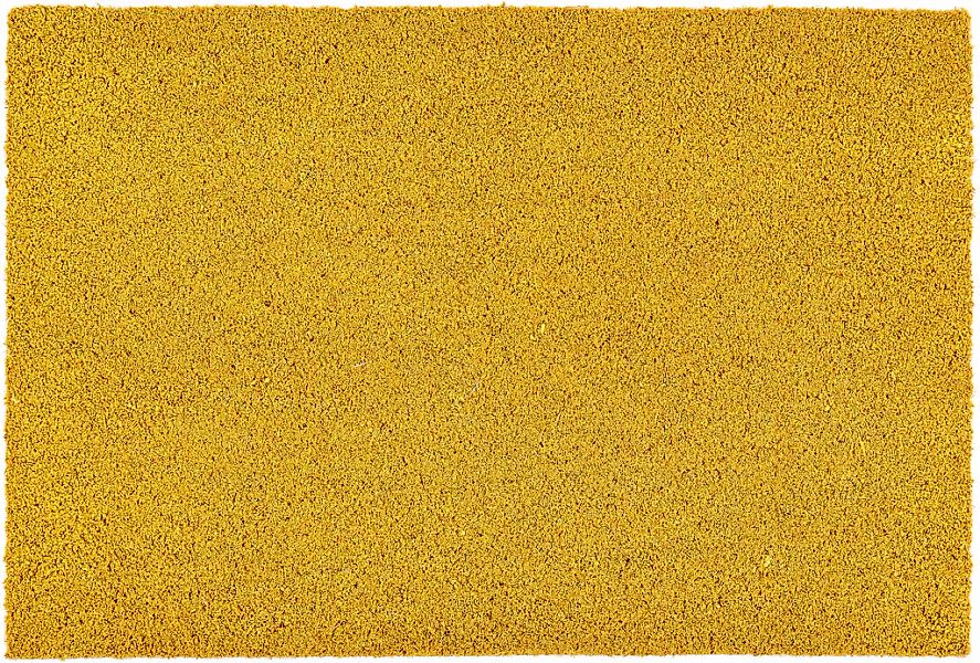 ASTRA Fußmatte "Coco Color Trend" rechteckig 15 mm Höhe Kokos Türmatte, Aus günstig online kaufen