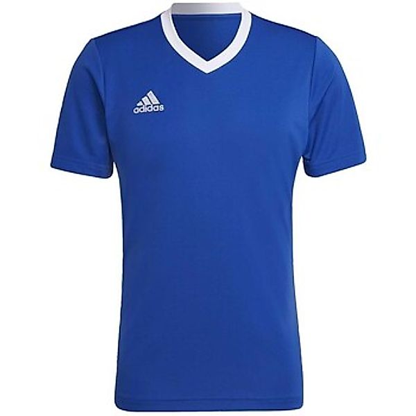 adidas  T-Shirts & Poloshirts - günstig online kaufen