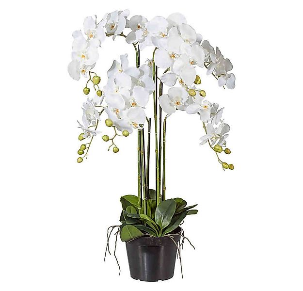 Kunstorchidee Kunstblume PHALENOPSIS Orchidee ca 90cm WEISS. im Kunststofft günstig online kaufen